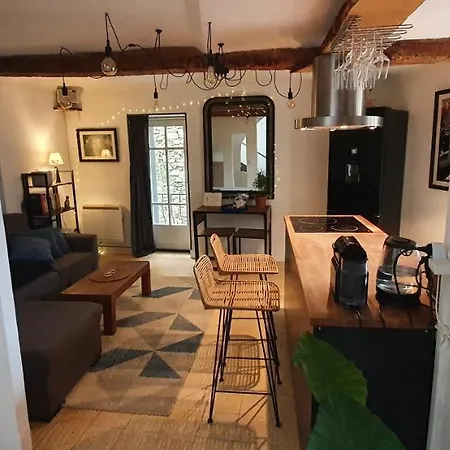 Duplex Avec Spa Et Terrasse En Plein Centre Du Village Saint-Jean-du-Gard